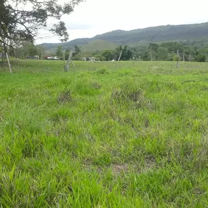 Fazenda - Zona Rural Cocalzinho de Goiás - {{est_sigla}