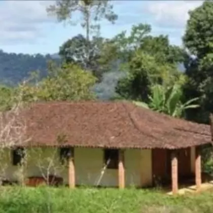 Fazenda - Zona Rural Arataca - {{est_sigla}